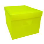 Ficha técnica e caractérísticas do produto Caixa Organizadora Plástica Grande Amarela - Plascony 1022207