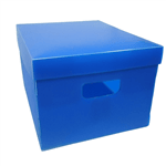 Ficha técnica e caractérísticas do produto Caixa Organizadora Plástica Grande Azul - Plascony 1022209