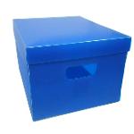 Ficha técnica e caractérísticas do produto Caixa Organizadora Plástica Grande Azul - Plascony