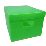 Ficha técnica e caractérísticas do produto Caixa Organizadora Plástica Grande Verde - Plascony 1022211