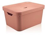 Ficha técnica e caractérísticas do produto Caixa Organizadora Rosa Cube G CC650 com Tampa - OU