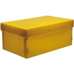 Ficha técnica e caractérísticas do produto Caixa Organizadora Top Line Sapato 28x17x20cm Amarelo