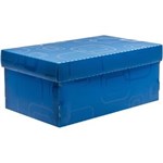 Ficha técnica e caractérísticas do produto Caixa Organizadora Top Line Sapato 28x17x20cm Azul