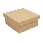 Ficha técnica e caractérísticas do produto Caixa Tampa de Sapato Baixa 10x10x5 - Mdf