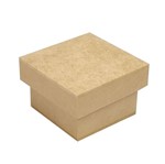 Ficha técnica e caractérísticas do produto Caixa Tampa de Sapato Baixa 7x7x5 - MDF