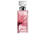 Ficha técnica e caractérísticas do produto Calvin Klein Eternity Summer Men - Perfume Masculino Eau de Parfum 100ml