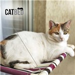 Ficha técnica e caractérísticas do produto Cama de Gato para Janela Catbed Gatton - Listrada Roxo