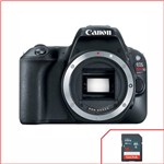 Ficha técnica e caractérísticas do produto Câmera Canon EOS Rebel SL2 Wifi 24.2MP