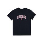 Ficha técnica e caractérísticas do produto Camiseta Chicago Bulls Nba Preto New Era - Preto