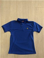 Ficha técnica e caractérísticas do produto Camiseta Masculina Polo Azul Tamanho G - Alemark