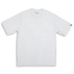 Ficha técnica e caractérísticas do produto Camiseta Microfibra Manga Curta Listrada - G - Branco