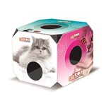 Ficha técnica e caractérísticas do produto Cat Box Furacão Pet - Furacão Pet