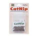 Ficha técnica e caractérísticas do produto Cat Nip Erva Dos Gatos