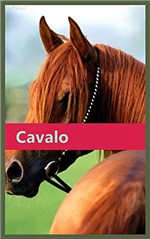 Ficha técnica e caractérísticas do produto Cavalo