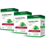 Ficha técnica e caractérísticas do produto Centella Asiática - 3 un de 60 Cápsulas - Maxinutri