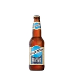 Ficha técnica e caractérísticas do produto Cerveja Blue Moon Belgian White 355ml (29/06/2020)