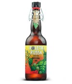 Ficha técnica e caractérísticas do produto Cerveja Roleta Russa - Imperial Ipa - 500 Ml