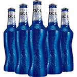 Ficha técnica e caractérísticas do produto Cerveja Skol Beats Senses 313ml Caixa com 6 Unidades