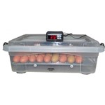 Ficha técnica e caractérísticas do produto Chocadeira Automática - 54 Ovos