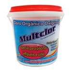 Ficha técnica e caractérísticas do produto Cloro Orgânico Oxigenado Action 300g Multclor