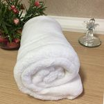 Ficha técnica e caractérísticas do produto Cobertor Bebê Para Maternidade Branco .