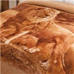 Ficha técnica e caractérísticas do produto Cobertor Casal Jolitex Pelo Alto Leão 1,80x2,20m Ótimo Preço
