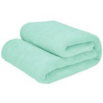 Ficha técnica e caractérísticas do produto Cobertor Casal Microfibra Liso Verde Claro 1,80x2,20m Camesa