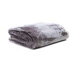 Ficha técnica e caractérísticas do produto Cobertor de Casal Soft Microfibra Naturalle 300grs 1,80 X 2,20 Mts Dove - Bege