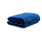Ficha técnica e caractérísticas do produto Cobertor de Casal Soft Microfibra Naturalle 300grs 1,80 X 2,20 Mts Eclipse - Azul Marinho