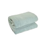 Ficha técnica e caractérísticas do produto Cobertor de Microfibra Corttex Casal - Lima
