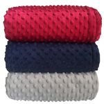 Ficha técnica e caractérísticas do produto Cobertor Donna Bebê Plush com Sherpa Dots Azul Navy