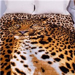 Ficha técnica e caractérísticas do produto Cobertor Kyor Plus Jolitex Ternille Casal 1,80x2,20m Leopardo