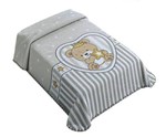 Ficha técnica e caractérísticas do produto Cobertor Le Petit King Size Superstar Cinza Raschel Colibri