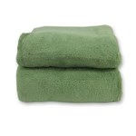 Ficha técnica e caractérísticas do produto Cobertor Manta Microfibra Casal Queen Verde - Linha Avulsa
