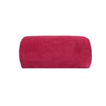 Ficha técnica e caractérísticas do produto Cobertor Microfibra Liso 180g Casal 220x180 Vermelho Camesa