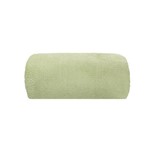 Ficha técnica e caractérísticas do produto Cobertor Microfibra Liso 180g Casal 220x180 Verde Folha Camesa