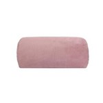 Ficha técnica e caractérísticas do produto Cobertor Microfibra Liso 180g Casal 220x180 Camesa - Rosa Claro