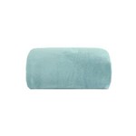 Ficha técnica e caractérísticas do produto Cobertor Microfibra Liso 180g Casal 220x180 Camesa - Cinza Verde