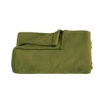 Ficha técnica e caractérísticas do produto Cobertor Queen Kacyumara Blanket Microfibra
