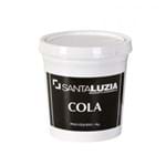 Ficha técnica e caractérísticas do produto Cola para Moldura 1kg Santa Luzia