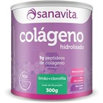 Ficha técnica e caractérísticas do produto Colágeno 300 G - Sanavita