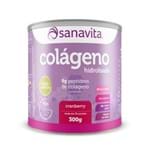 Ficha técnica e caractérísticas do produto Colágeno Cranberry Sanavita 300G