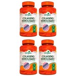 Ficha técnica e caractérísticas do produto Colágeno Hidrolisado com Vitamina C - 4x120 Cápsulas - Katigua