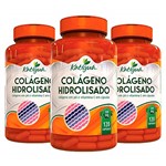 Ficha técnica e caractérísticas do produto Colágeno Hidrolisado com Vitamina C - 3 Un 120 Cápsulas - Katigua