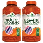 Ficha técnica e caractérísticas do produto Colágeno Hidrolisado Com Vitamina C 2 X 240 Cáps - Katigua