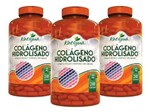 Ficha técnica e caractérísticas do produto Colágeno Hidrolisado Vitamina C 720 Cápsulas 500mg - Katigua