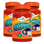 Ficha técnica e caractérísticas do produto Colágeno Tipo II com Vitamina C - 3 Unidades de 30 Cápsulas - Katigua