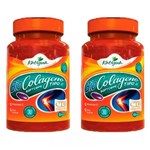 Ficha técnica e caractérísticas do produto Colágeno Tipo II com Vitamina C - 2 Unidades de 30 Cápsulas - Katigua