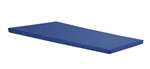 Ficha técnica e caractérísticas do produto Colchonete Gigante D65 para Academia Creche Escola 1,20x60x4cm Orthovida - Azul