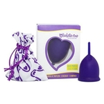Ficha técnica e caractérísticas do produto Coletor Menstrual Violeta Cup Tipo A Violeta